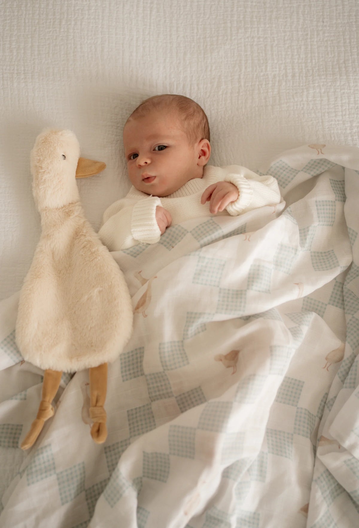 Pop Ya Tot - Swaddle | Goosey Gander