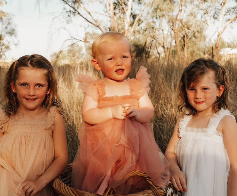 Petticoat Princess - Dusty Pink Butterfly Dress